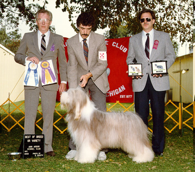 Alfie - Best in Specialty Show